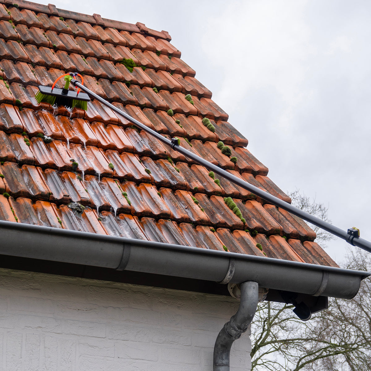 Wasborstel reinigt dakpannen met mos vanaf de grond