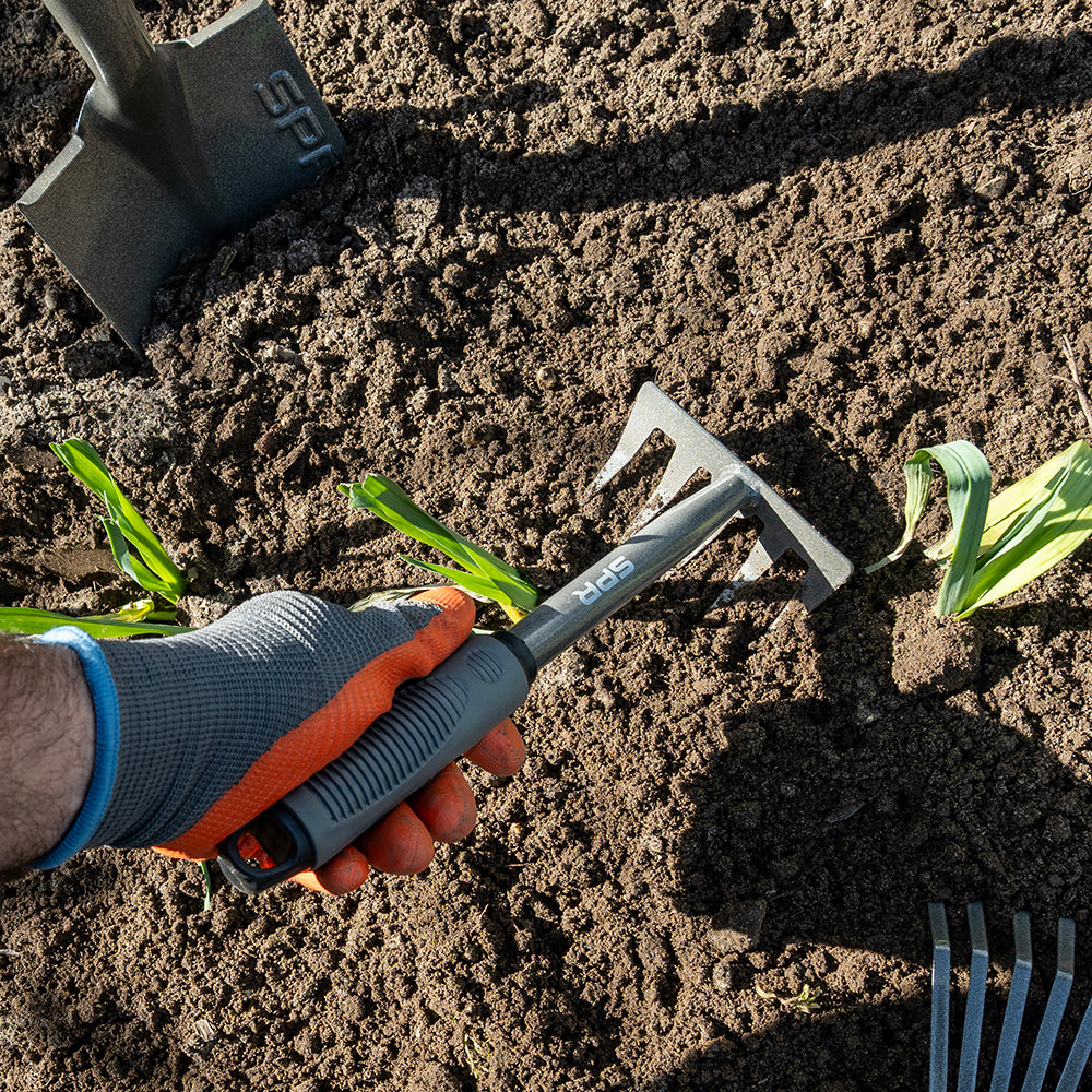Une main ameublit la terre avec la griffe à 5 dents entre de jeunes plants