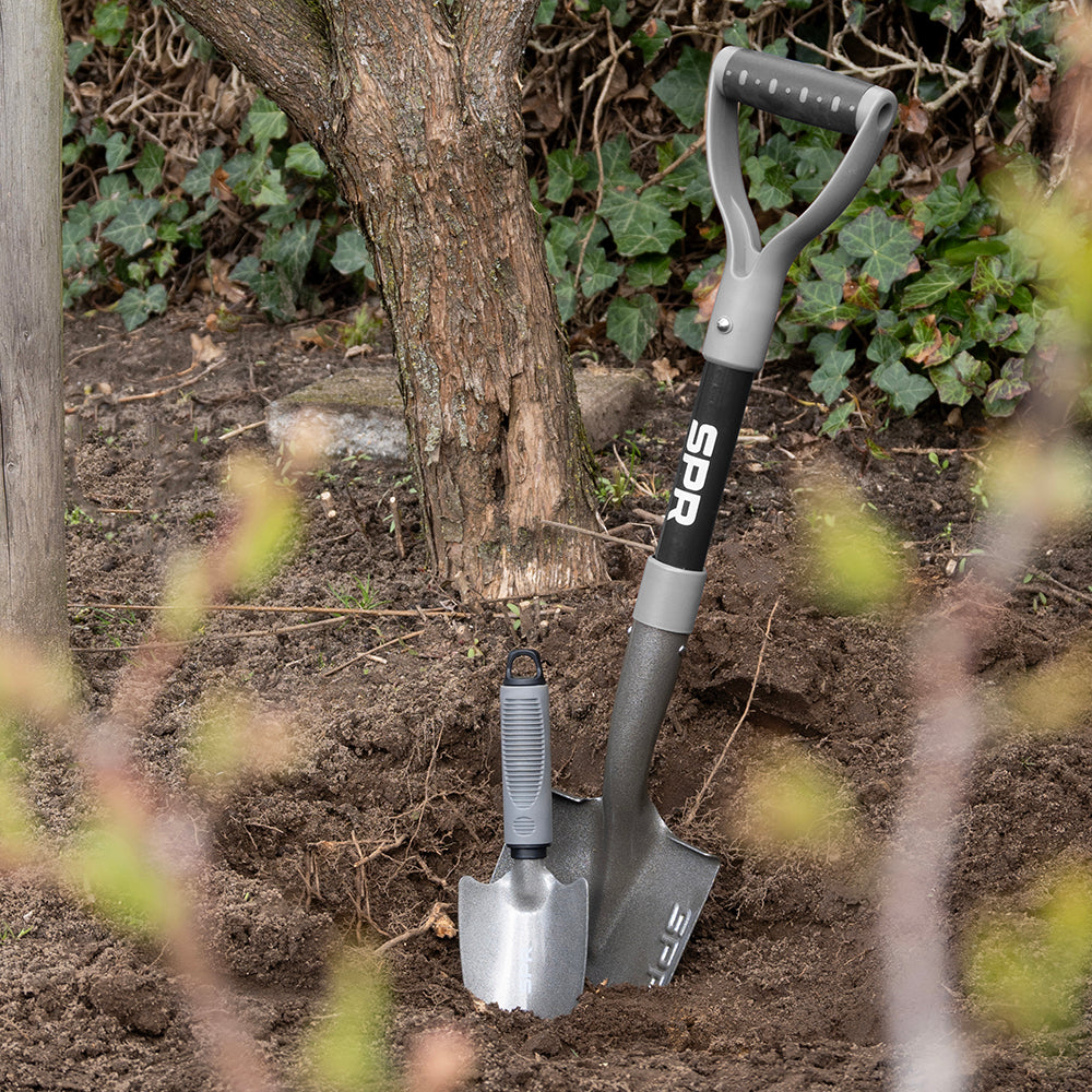Bêche à poignée en D plantée dans la terre sous un arbre